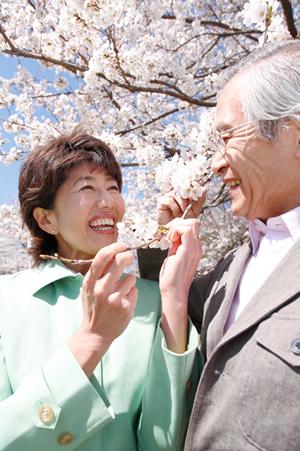 婚活をするなら成婚実績の多い結婚相談所